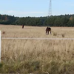 Βίλα U Lipkow Na Kaszubach 