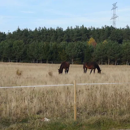 U Lipków Na Kaszubach Iga Jacuzzi Villa *