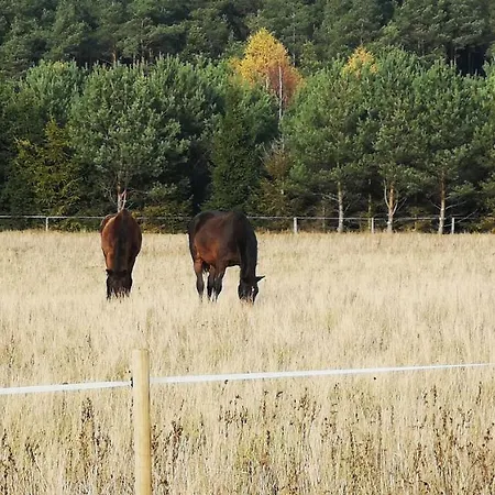 U Lipkow Na Kaszubach 