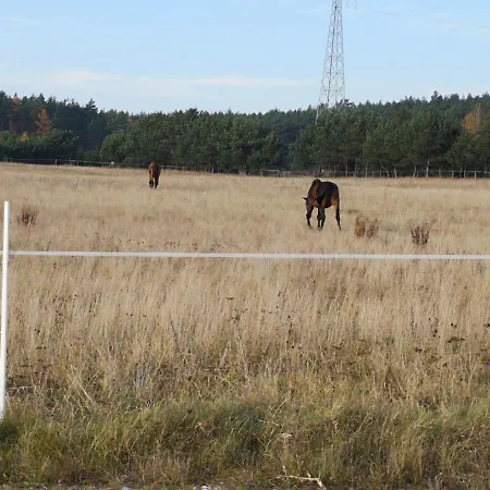 Villa U Lipków Na Kaszubach Iga Jacuzzi