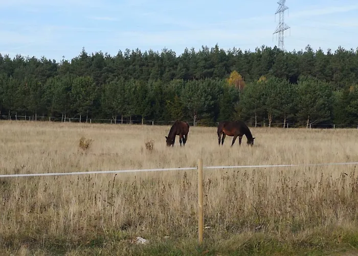 U Lipkow Na Kaszubach 