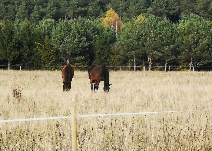 U Lipkow Na Kaszubach 