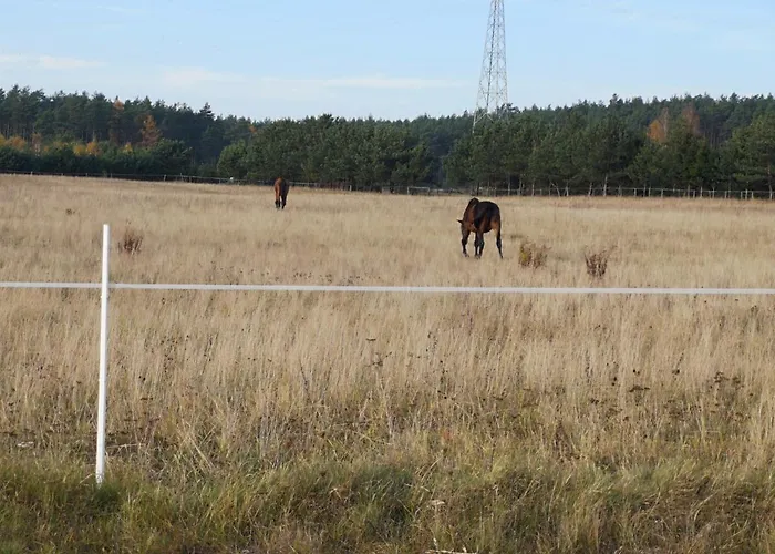 Villa U Lipkow Na Kaszubach 